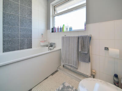 Picture 12